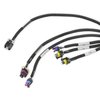 558-134 Extended Length Main Harness for GM LS2, LS3, LS7 Engines w/Holley HP or Dominator EFI (58X Crank Reluctor) - image 4