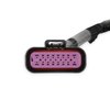 558-190 Main Battery Harness for Sniper 2 EFI Conversions w/Power Distribution Module (PDM) - image 3