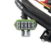 558-209 Dominator & HP EFI Injector Wiring Harness Ford V8 - image 3