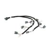 558-212 Injector Harness Ford V8 Injector Harness for Ford USCAR style Fuel Injectors (Evenly Spaced) - image 3