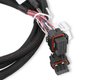558-219 Injector Driver Harness - image 4