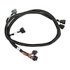 558-220 Direct-Injection Sub-Harness for Early GM Gen V LT Engines w/4-pin Fuel Pressure Sensor and a Terminator X or X Max ECU - image 1