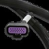 558-220 Direct-Injection Sub-Harness for Early GM Gen V LT Engines w/4-pin Fuel Pressure Sensor and a Terminator X or X Max ECU - image 3