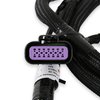 558-221 Direct-Injection Sub-Harness for Late GM Gen V LT Engines w/3-pin Fuel Pressure Sensor and a Terminator X or X Max ECU - image 2