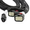 558-221 Direct-Injection Sub-Harness for Late GM Gen V LT Engines w/3-pin Fuel Pressure Sensor and a Terminator X or X Max ECU - image 3