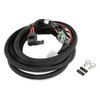 558-308 Dominator, HP & Avenger EFI Main Power Harness - image 4