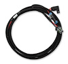 Ti-VCT EFI Main Power Harness for Ford Coyote - image 1