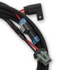 Ti-VCT EFI Main Power Harness for Ford Coyote - image 2