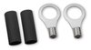 Ti-VCT EFI Main Power Harness for Ford Coyote - image 3