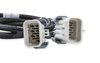 558-326 Ignition Coil Extension Harnesses for GM LS Engines - image 4
