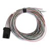 558-400 Dominator & HP EFI Connector J1A/B Input/Outputs Auxiliary Harness - image 2