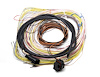 Auxiliary Ignition Harness for Holley Dominator EFI - image 1