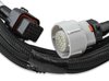 EFI Transmission Control Harness for GM 4L60E and 4L80E Pre-2009 - image 3