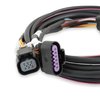 Auxiliary Wiring Harness for Holley Dominator EFI - image 2