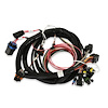 558-414 Terminator EFI Wiring Harness - image 1