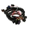 558-414 Terminator EFI Wiring Harness - image 2