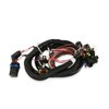558-414 Terminator EFI Wiring Harness - image 3
