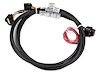 558-417 HEMI Drive-By-Wire Harness Early Harness with the larger TYCO/AMP Connector (2003-07 Car & 2003-06 Truck) - image 1