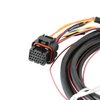 558-422 Ford Coyote Drive-By-Wire Harness - image 3