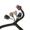 558-439 Terminator EFI Throttle Body Wiring Harness - image 2