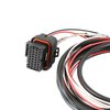 558-446 Replacement Service Harness for Holley EFI Pro Dashes 553-111 and 553-112 - image 3