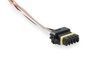 558-451 CAN ADPT HARNESS M/F 1FT - image 4