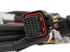 558-461 EFI Drive-By-Wire Throttle Body Harness 2005-2010 Ford Mustang GT/GT500 3V - image 4