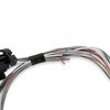 558-462 Terminator X Input/Output Harness - image 4