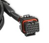 558-471 Transmission Control Harness for 1992-1997 Ford AODE/4R70W Transmissions - image 3
