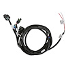 558-481 GM F-Body T-56 Transmission Control Harness for use w/Terminator X Max ECUs on V3 Build 100, EFI V6 Build 300, or Later - image 1