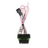 558-493 EFI to Dual Sync Distributor Ignition Harness - image 2