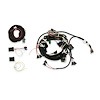558-503 EFI Harness Kit GM TPI and Holley Stealth Ram - image 1