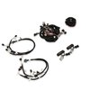 558-505 EFI Harness Kit 1999-2004 Ford Modular 2 Valve Harness Kit - image 2