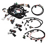 EFI Harness Kit 1999-2004 Ford Modular 4 Valve Harness Kit - image 1