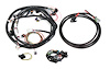 558-508 Harness Kit Universal Ford V8, Bosch Injector - image 1