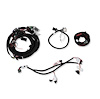 558-513 MAIN HARNESS FOX-BODY - image 1