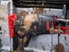 RGJC Hi-Lift Jack Running Gear Vinyl Cover - image 3