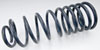 Rear Springs 1982-1992 GM F-Body - image 2