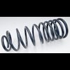 Rear Springs 1982-1992 GM F-Body - image 3