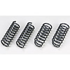 Lowering Spring Kit 2011-12 Charger RT - image 1