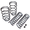 Sport Coil Spring Set - image 1