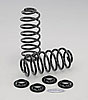 Performance Rear Springs - image 1