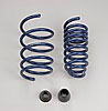 Lowering Spring Kit 2002-06 Mini - image 1