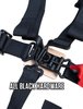 4.2 HARNESS - image 4