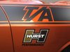 Decal Pack Gold/Black/White - image 2