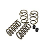 Spring Kit - Stage 1 2015 Mustang GT 5.0L Fastback and Convertible. - image 1