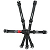 Restraint, 3 in. Int L and L, Individual Shoulder, 7-Point, SFI 16.1 - image 1