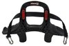 Club III Frontal Head Restraint with Spring Posts - image 3
