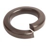 Lock Washer For Drive Shaft Bolt - image 2