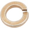 Caliper Bolt Washer - image 2